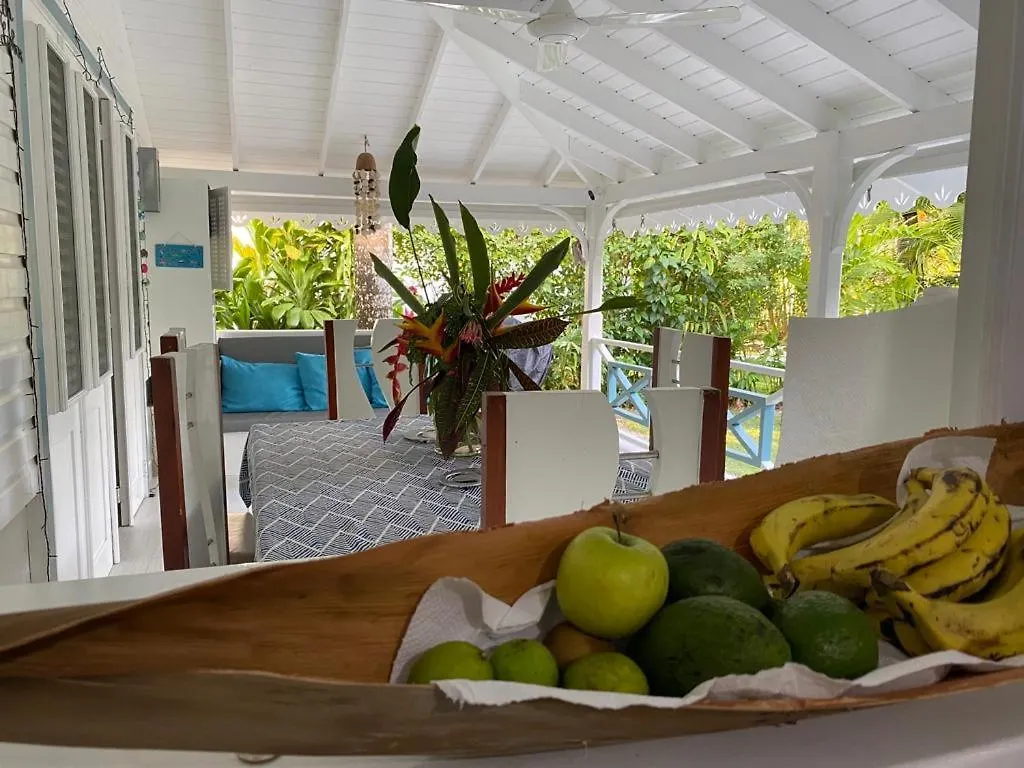 Caribbean Villa Los Lobos Ballenas Beach Las Terrenas